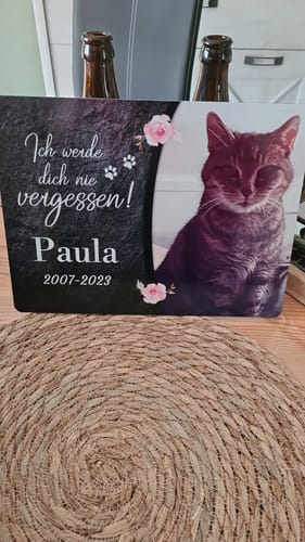 Customer photo review of Katzen Gedenktafel mit Foto & Spruch (UV- & Wetterfest)