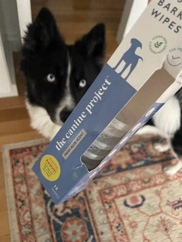 Customer photo review of BEST BARKIN' WIPES™
