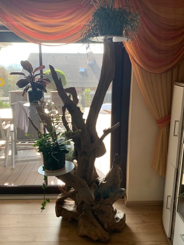 Customer photo review of Wurzel Deko Pflanzenständer MEGAN