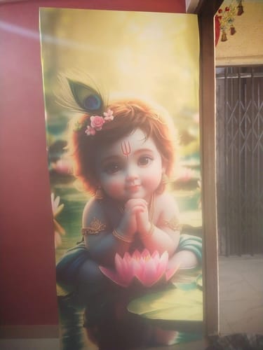 Customer photo review of Lord Gopinath Krishna Door Covers