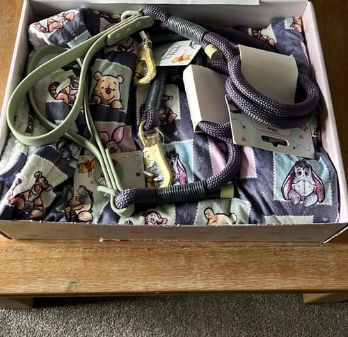 Customer photo review of Dog Blanket - Winnie + Friends