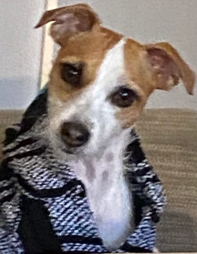 Customer photo review of Playa Poncho - Surprise Color