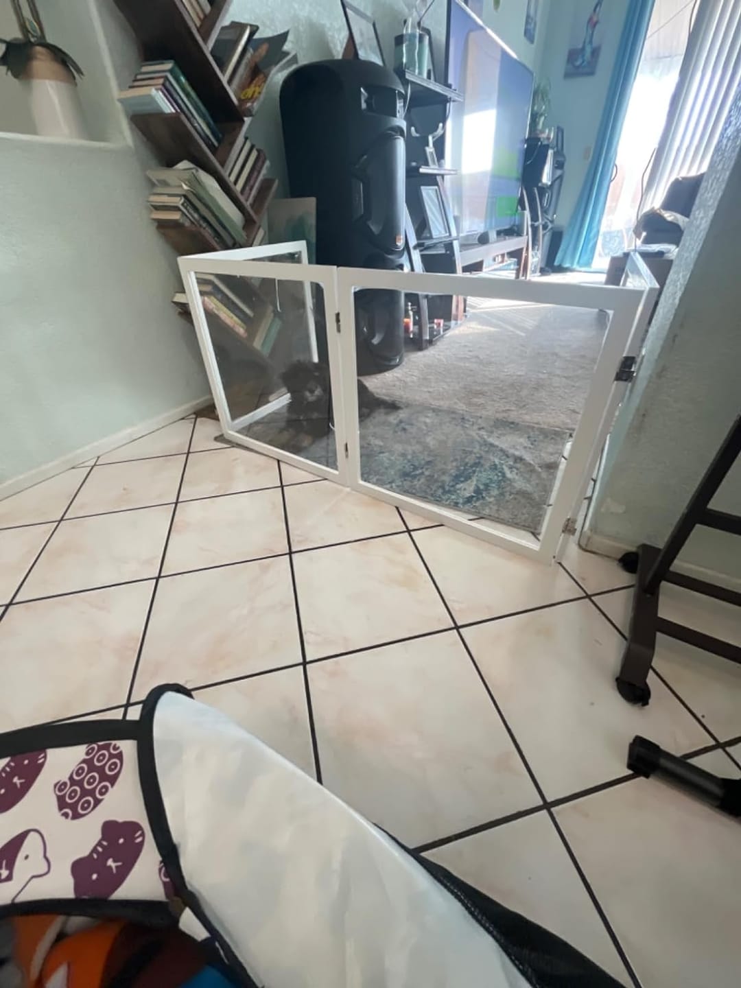 Customer photo review of Fairybaby Clear Freestanding Foldable Dog Gate