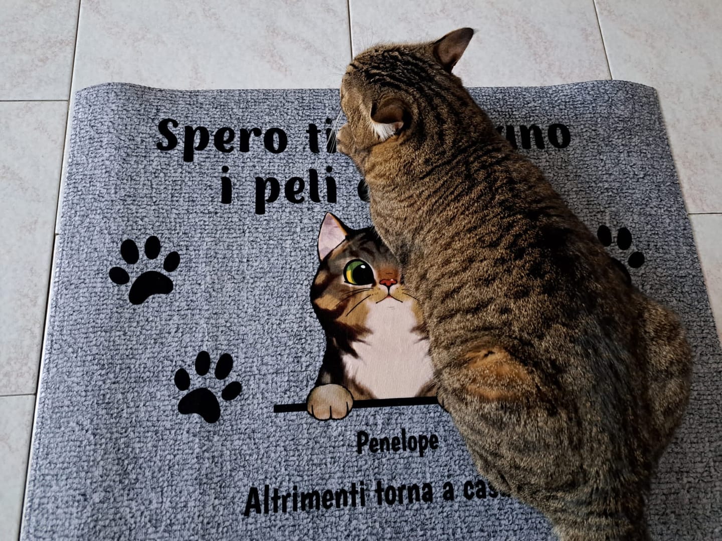 Customer photo review of Benvenuti da gatti curiosi - Zerbino personalizzato