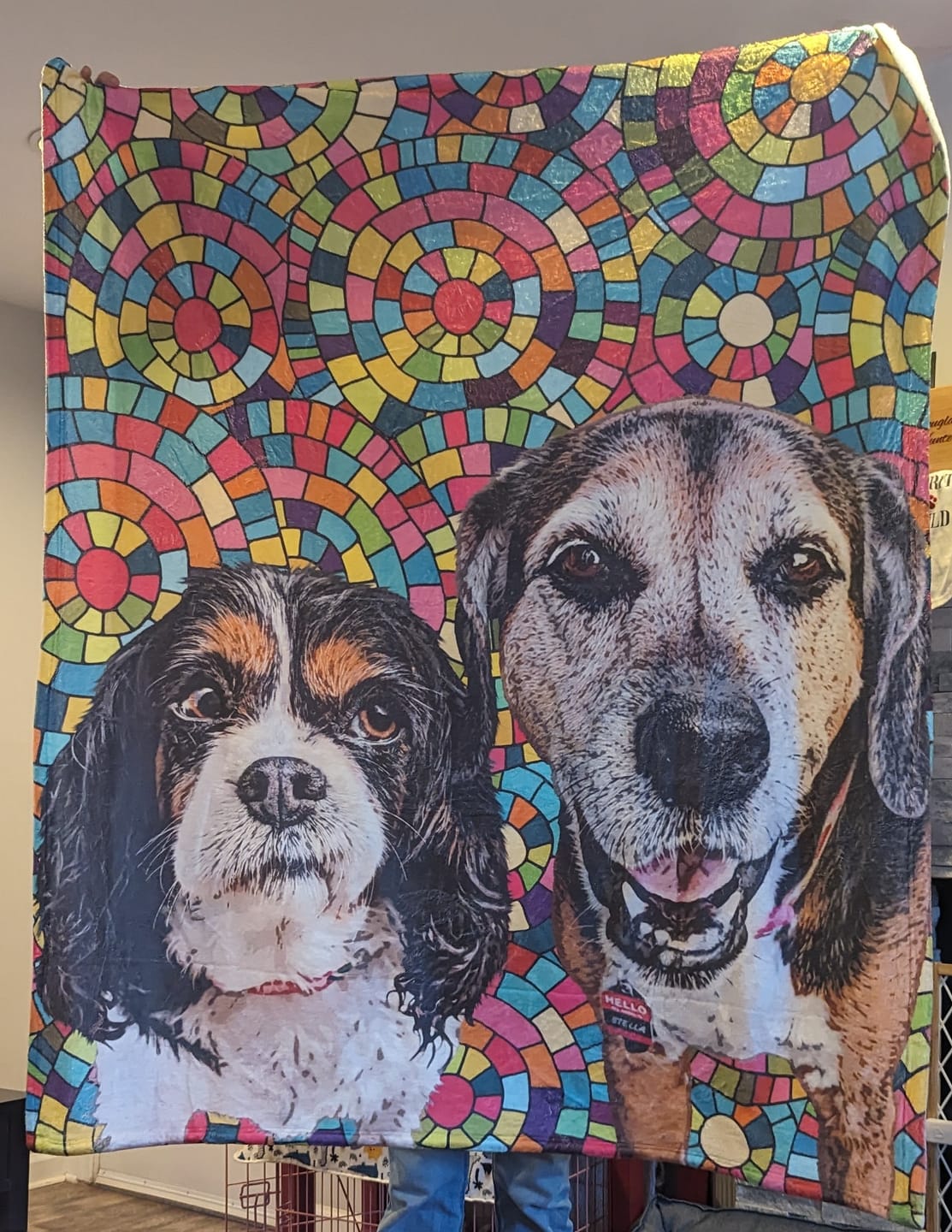 Customer photo review of Custom Pet Art Fleece Blanket