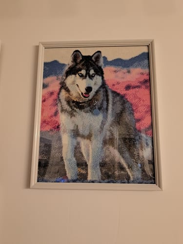 Customer photo review of 5D Diamond Painting Siberian Husky