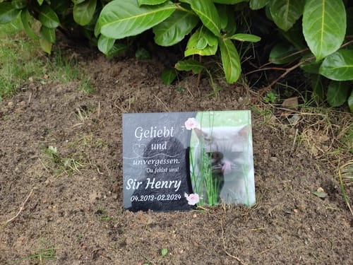 Customer photo review of Katzen Gedenkglas mit Foto (Spezialdruck hinter Acrylglas 15x20cm)