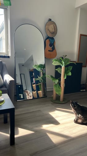 Customer photo review of Black Full Length Arch Mirror (71"H x 31"W)