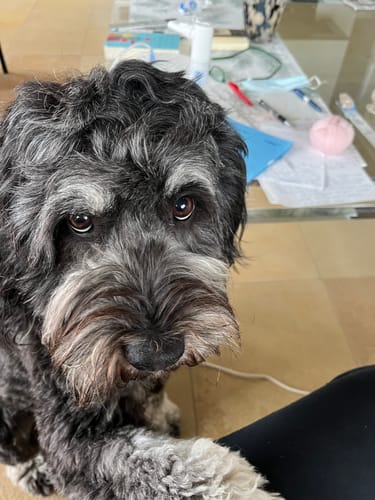 Customer photo review of CLASSIC