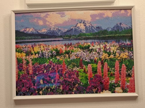 Customer photo review of 5D Diamond Painting AB Steine Blumenfeld in den Bergen