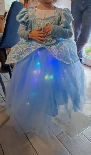 Customer photo review of Glowing Light-Up Princess Dress