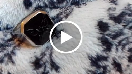 Customer video review of Butterfly Signet Ring [BLACK]
