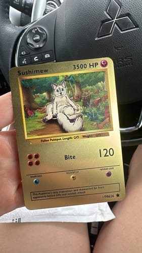 Customer photo review of Number of Pokepets and Trainers