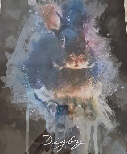 Customer photo review of Wasserfarben Pawtrait