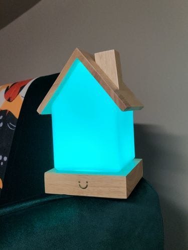 Customer photo review of Modern Home Lamp