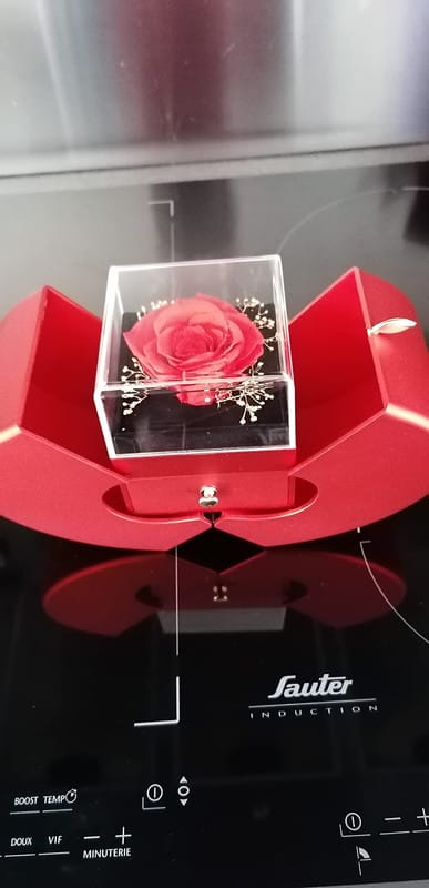 Customer photo review of Aan Mijn Mama - Eeuwige Rozenbox - Met Love Knot Ketting & Echte Roos