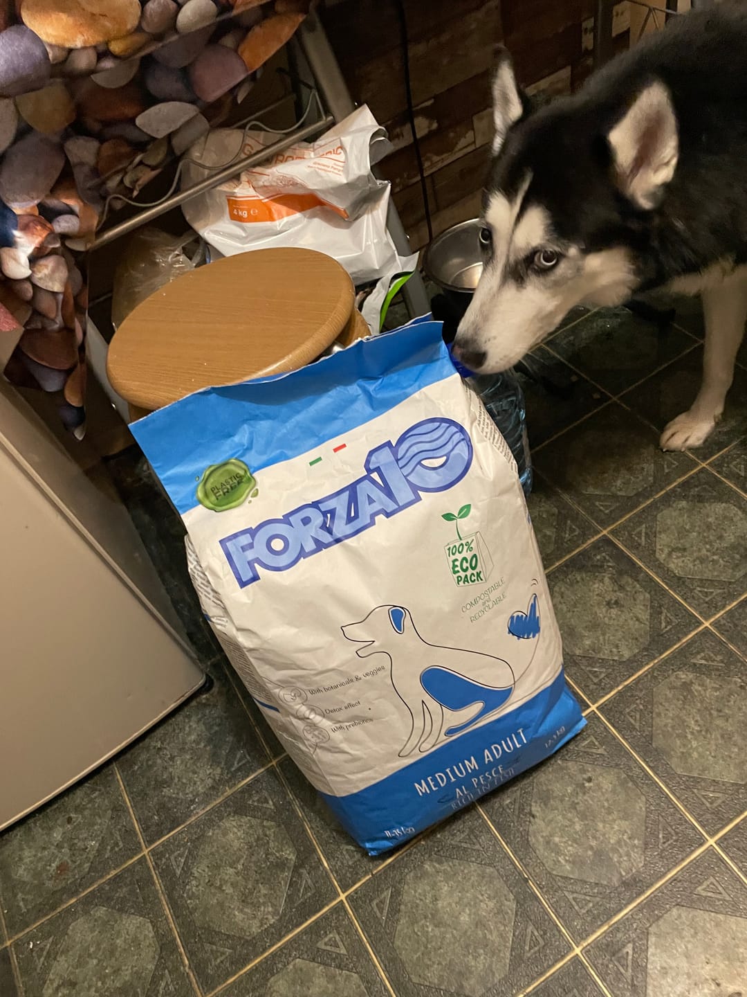 Customer photo review of All breeds Maintenance ar zivi un rīsiem