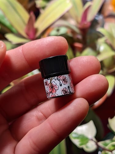Customer photo review of Sakura