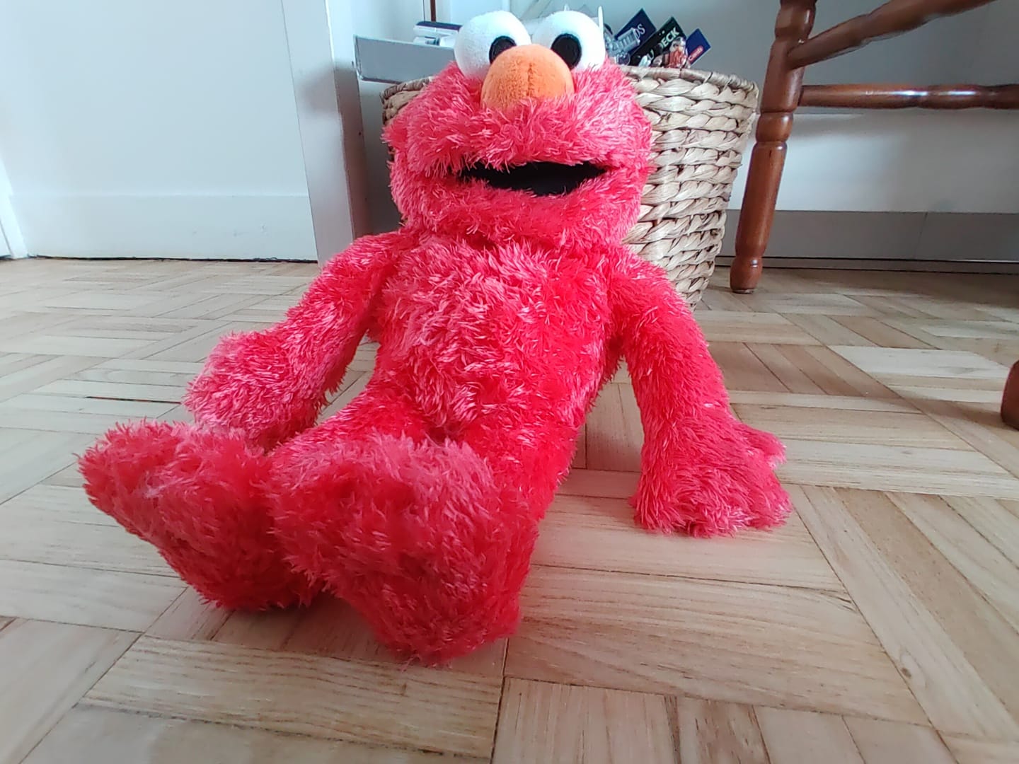 Customer photo review of Elmo Marionnette Sesame Street