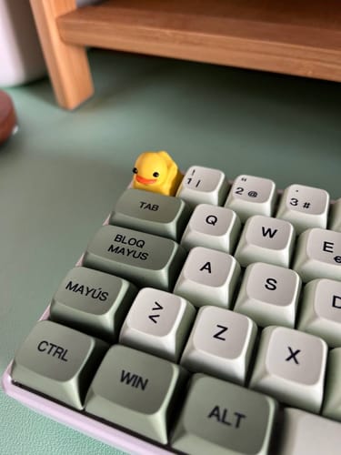 Customer photo review of V-DAY Starter Bundle