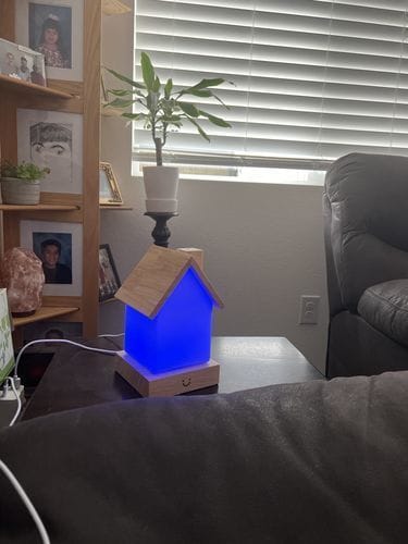 Customer photo review of Modern Home Lamp