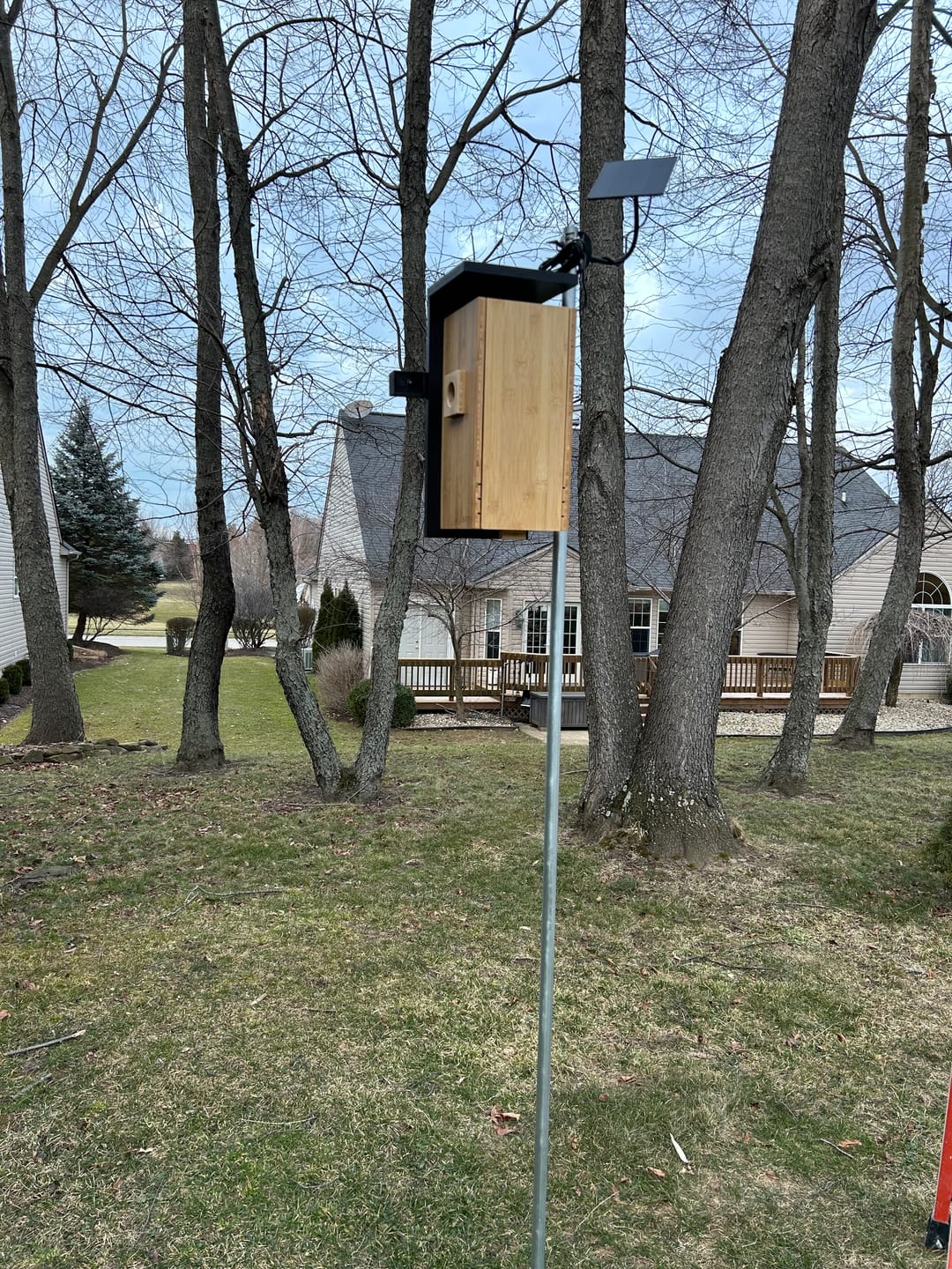 Customer photo review of Birdfy Nest - Smart Bird House with Dual Cameras