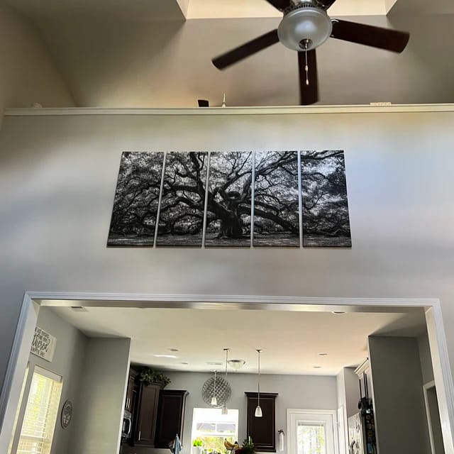 Customer photo review of Extra Large Black and White Old Angel Oak Tree Wall Art Canvas Print