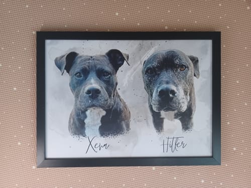 Customer photo review of WATERCOLOUR PET PORTRAIT (From Photo)