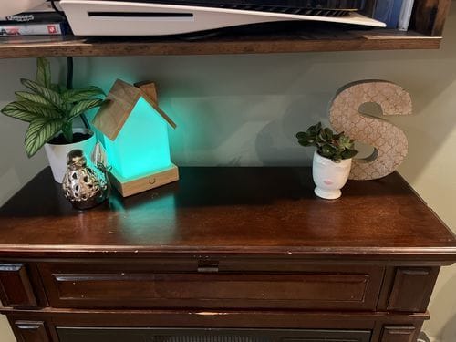 Customer photo review of Modern Home Lamp