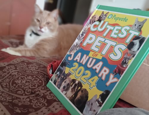 Customer photo review of Cutest Pets of the Month 2024 Photobook
