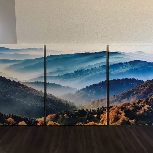 Customer photo review of Large Forest Mountain Landscape Wall Art Canvas Print
