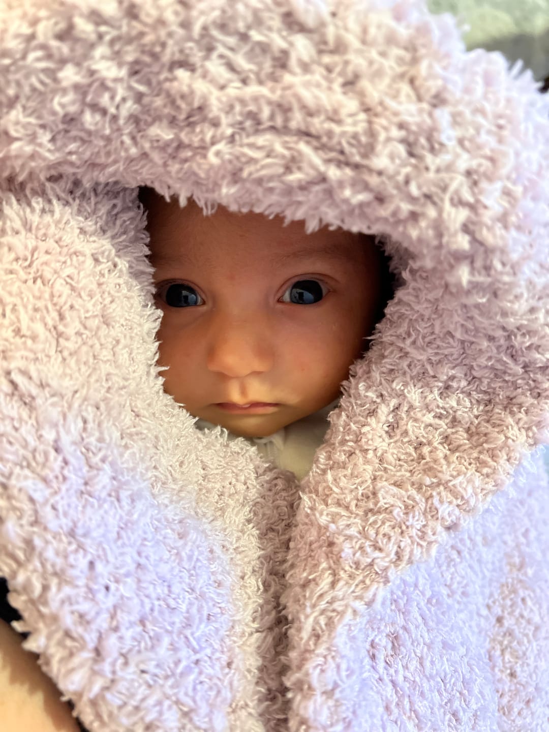 Customer photo review of Iced Lilac Solid Double Layered Print Toddler Blanket