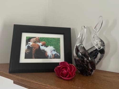 Customer photo review of Double Memorial Flame with Cremains