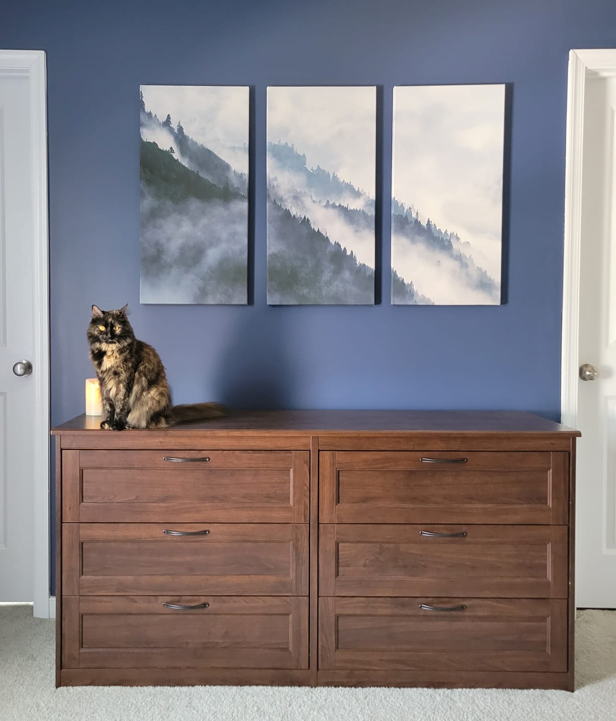 Customer photo review of Foggy Forest Large Wall Art Canvas Print, Misty Mountain Wall Art Canvas Print
