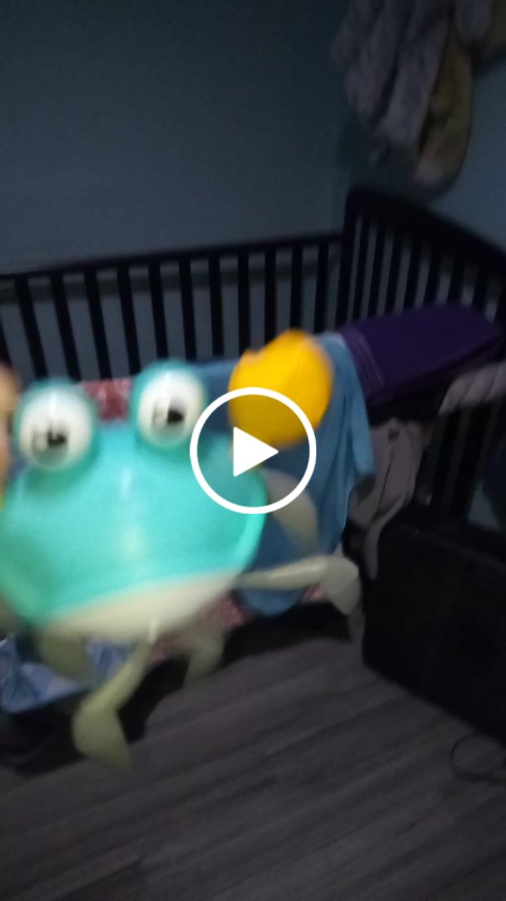 Customer video review of The Crawly Crab™