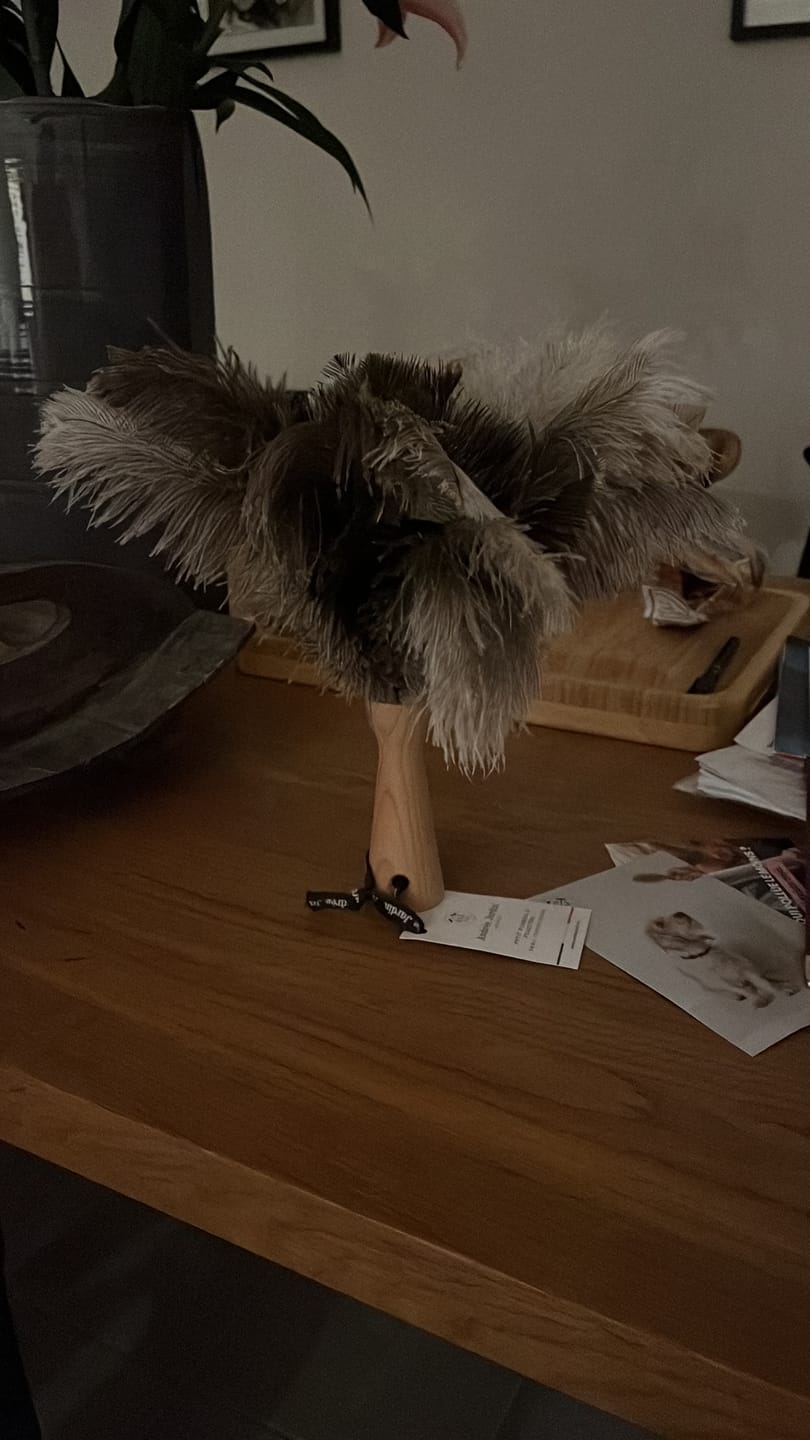 Customer photo review of Petit plumeau à main - Hêtre