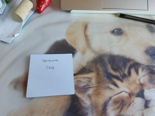 Customer photo review of Reusable Sticky Notes