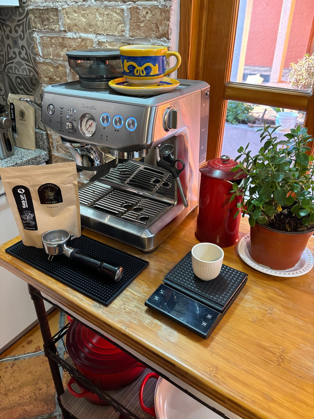 Customer photo review of Café de Oaxaca, Finca Chelín, Proceso Purple Honey