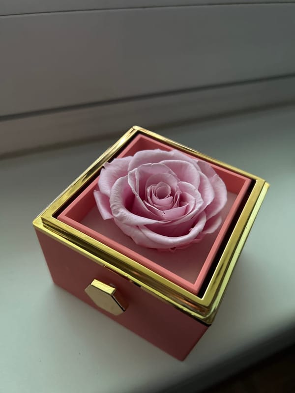 Customer photo review of De Eeuwige Roos Box - Met Gepersonaliseerde Ketting & Echte Roos