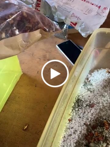Customer video review of Tomate deshidratado