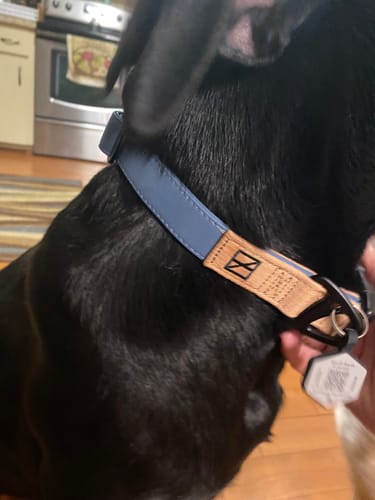 Customer photo review of Great Lakes Blue Collar - Recycled Ripstop