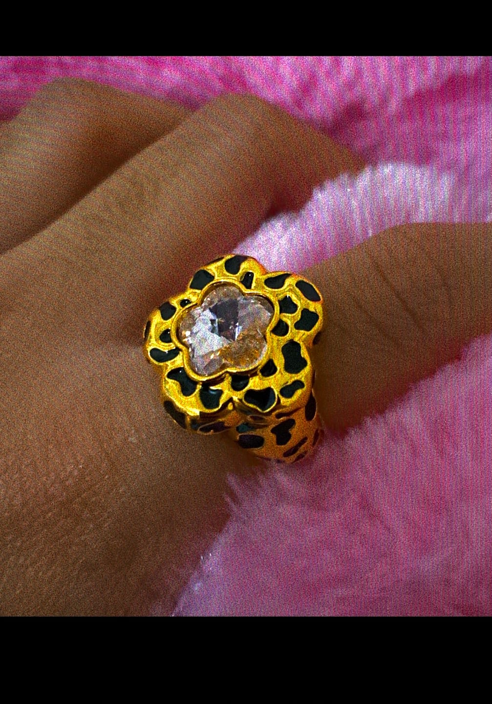 Customer photo review of Daisy Moo
