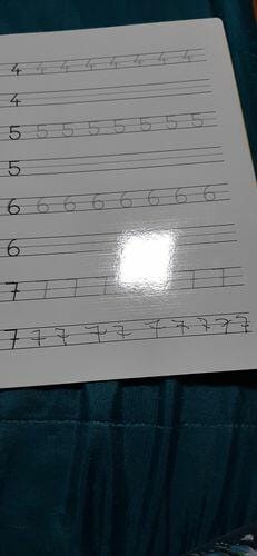 Customer photo review of Infinitebook Calligraphy A4