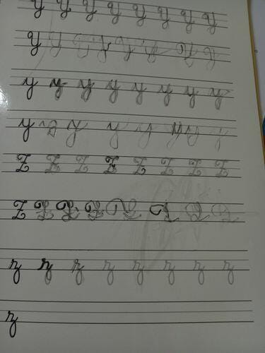 Customer photo review of Infinitebook Calligraphy A4
