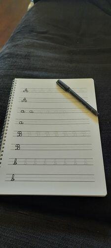 Customer photo review of Infinitebook Calligraphy A4