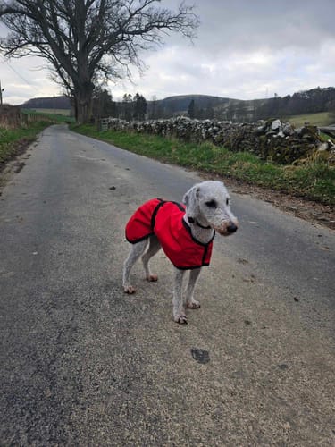 Customer photo review of Extra Lightweight Unlined Summer Whippet Coat Red
