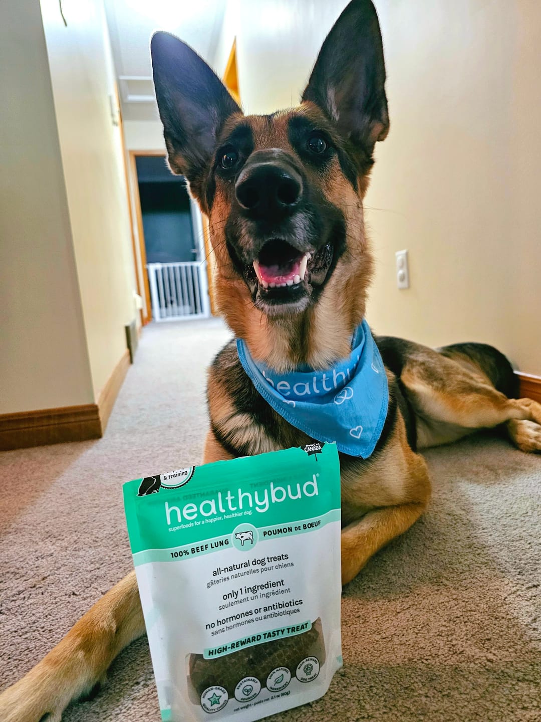 Customer photo review of Beef Lung Wafers