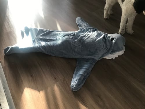 Customer photo review of Shark Blanket