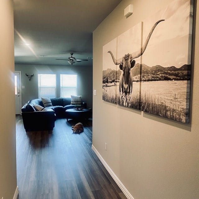 Customer photo review of Big Horn of Cow Wall Art Canvas Print
