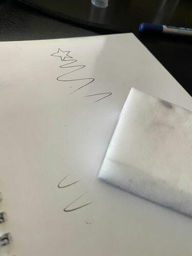 Customer photo review of 2 Sponges Pack